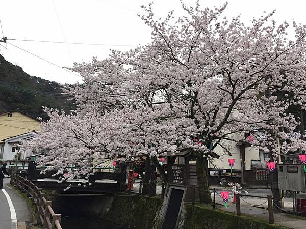 IMG_7205.JPG IMG_7205.JPG