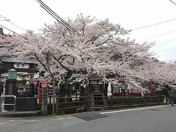 IMG_7207.JPG IMG_7207.JPG