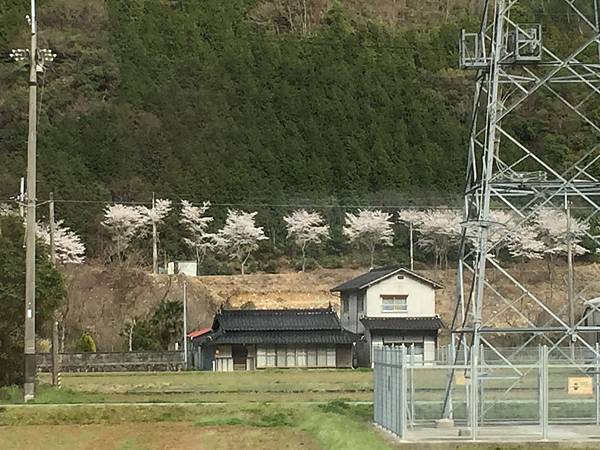 IMG_7227.JPG IMG_7227.JPG