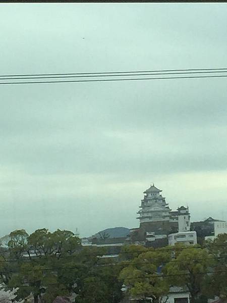 IMG_7228.JPG IMG_7228.JPG