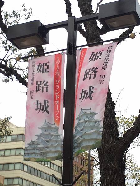 IMG_7241.JPG IMG_7241.JPG