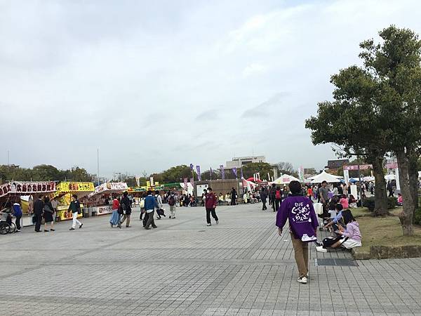 IMG_7250.JPG IMG_7250.JPG