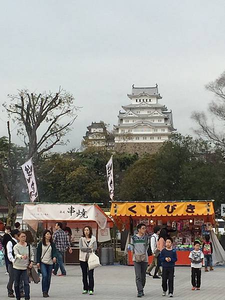 IMG_7252.JPG IMG_7252.JPG