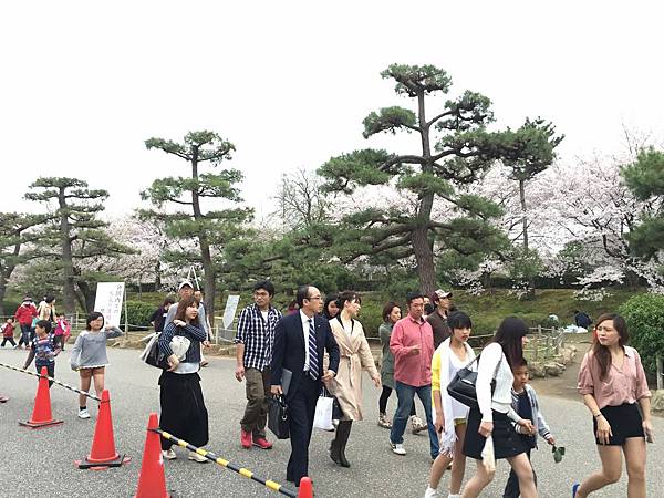 IMG_7272.JPG IMG_7272.JPG