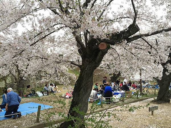 IMG_7275.JPG IMG_7275.JPG