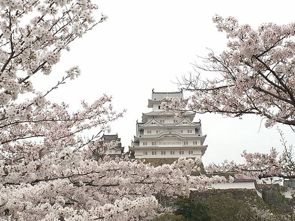 IMG_7277.JPG IMG_7277.JPG