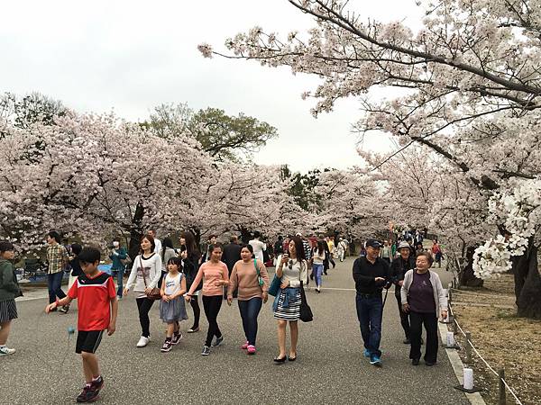 IMG_7278.JPG IMG_7278.JPG