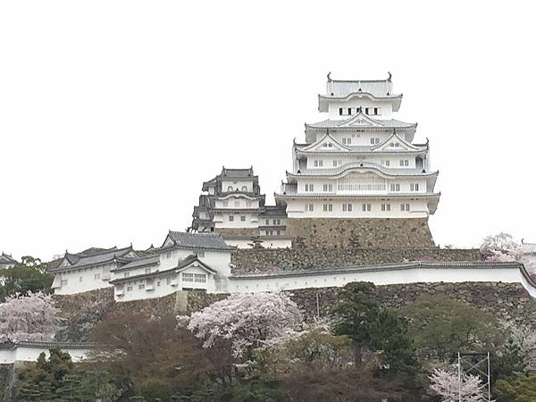 IMG_7280.JPG IMG_7280.JPG