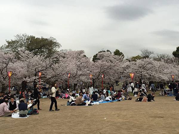 IMG_7282.JPG IMG_7282.JPG