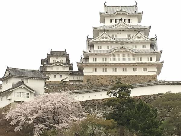 IMG_7286.JPG IMG_7286.JPG