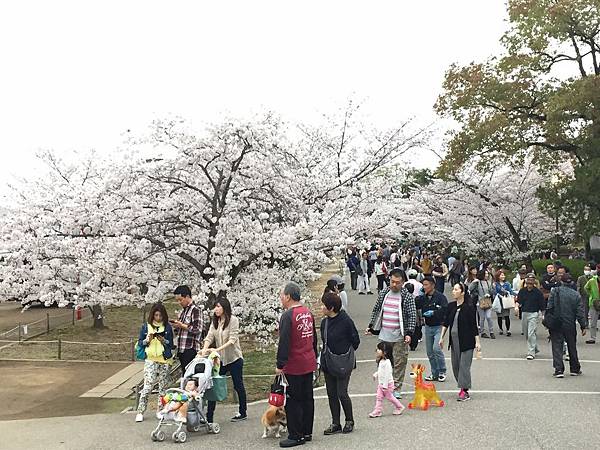 IMG_7290.JPG IMG_7290.JPG