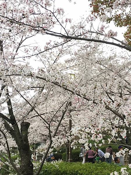 IMG_7292.JPG IMG_7292.JPG