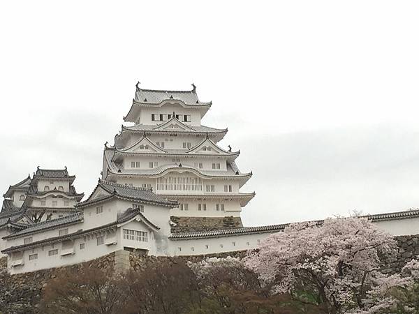 IMG_7295.JPG IMG_7295.JPG