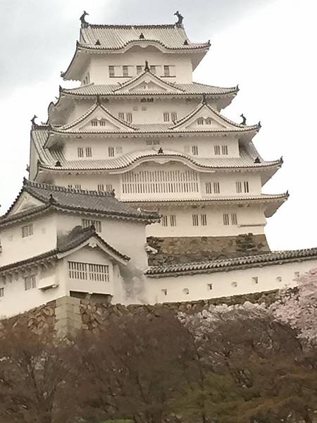 IMG_7298.JPG IMG_7298.JPG