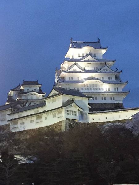 IMG_7301.JPG IMG_7301.JPG