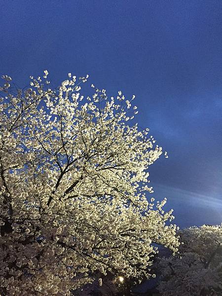 IMG_7312.JPG IMG_7312.JPG