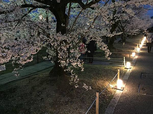 IMG_7317.JPG IMG_7317.JPG