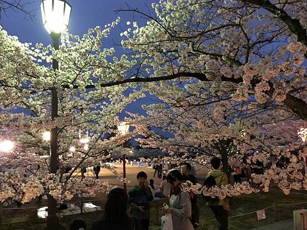 IMG_7318.JPG IMG_7318.JPG