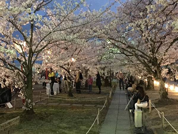 IMG_7322.JPG IMG_7322.JPG