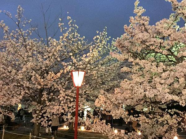 IMG_7325.JPG IMG_7325.JPG