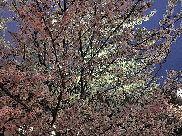 IMG_7329.JPG IMG_7329.JPG