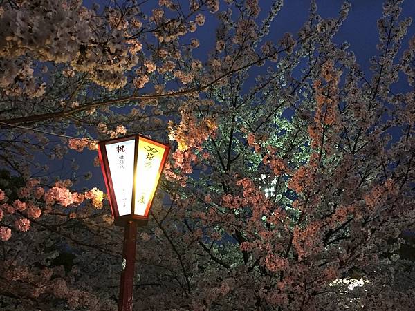 IMG_7331.JPG IMG_7331.JPG