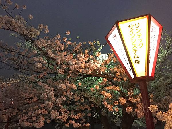 IMG_7335.JPG IMG_7335.JPG