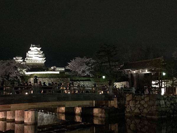 IMG_7336.JPG IMG_7336.JPG