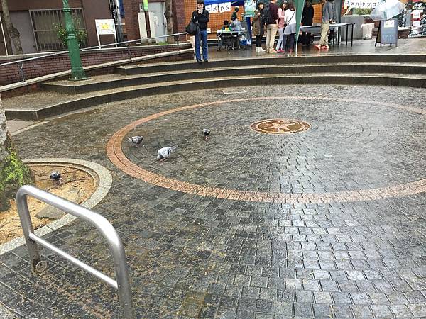 IMG_7512.JPG IMG_7512.JPG