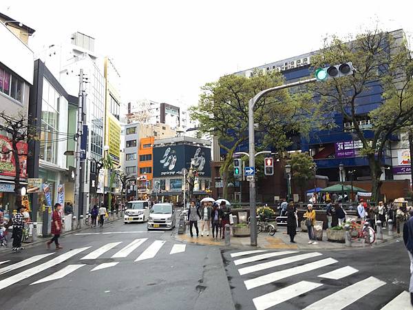 IMG_7515.JPG IMG_7515.JPG