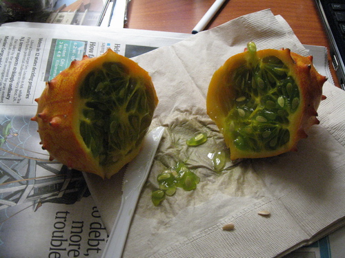 IMG_1749.JPG IMG_1749.JPG