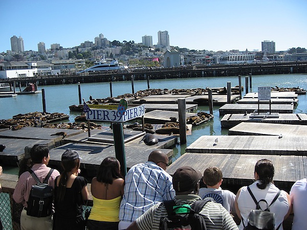 IMG_2750.JPG IMG_2750.JPG