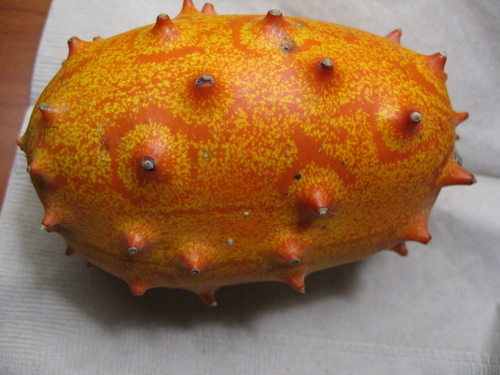 IMG_1748.JPG IMG_1748.JPG