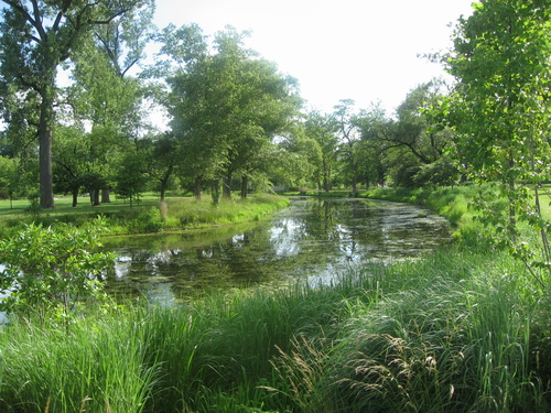 IMG_1800.JPG IMG_1800.JPG