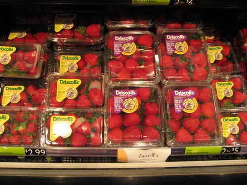 IMG_1702.JPG IMG_1702.JPG