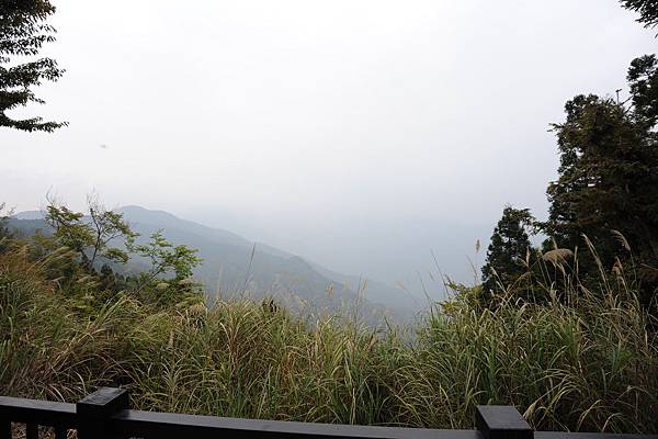 DSC_024.jpg DSC_024.jpg