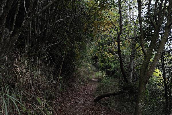 DSC_034.jpg DSC_034.jpg