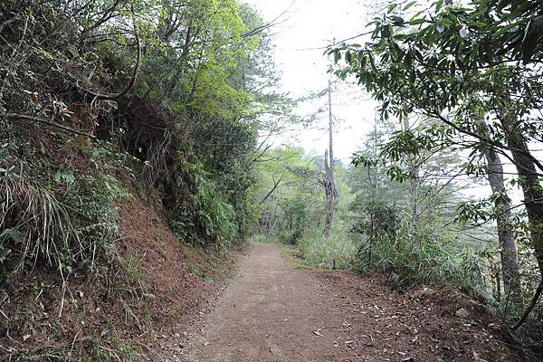 DSC_015.jpg DSC_015.jpg