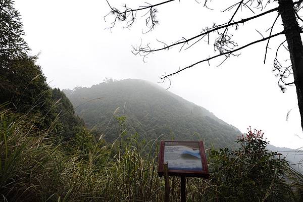 DSC_037.jpg DSC_037.jpg