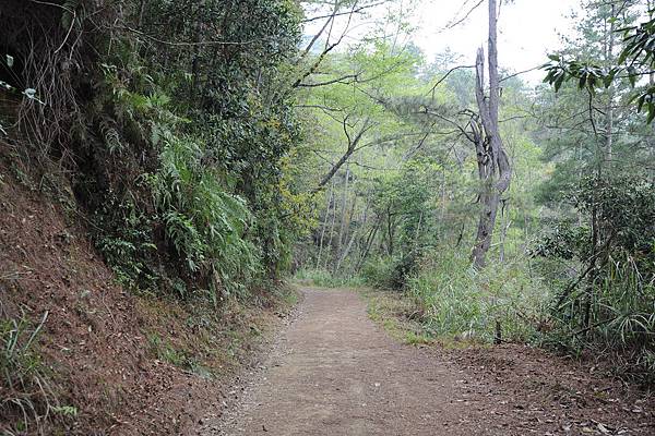 DSC_016.jpg DSC_016.jpg