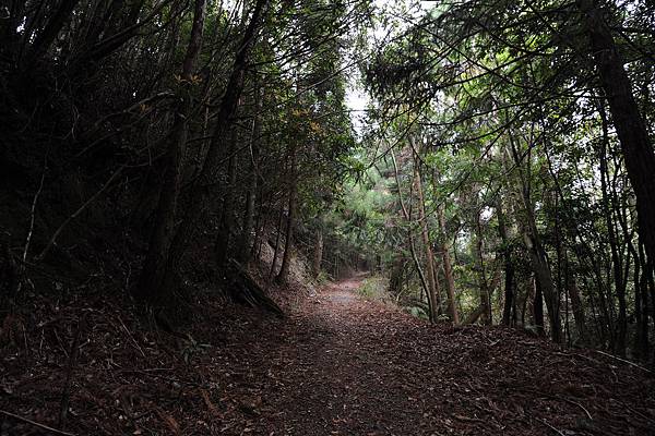 DSC_032.jpg DSC_032.jpg