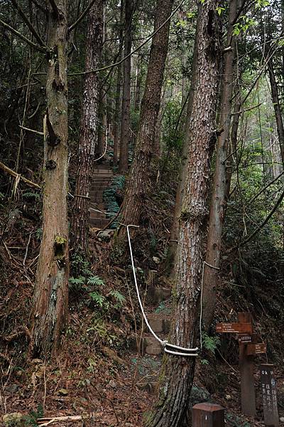 DSC_022.jpg DSC_022.jpg