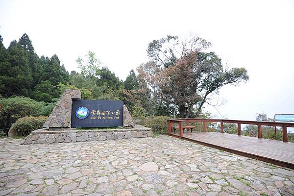 DSC_006.jpg DSC_006.jpg