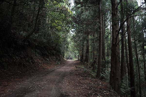 DSC_019.jpg DSC_019.jpg