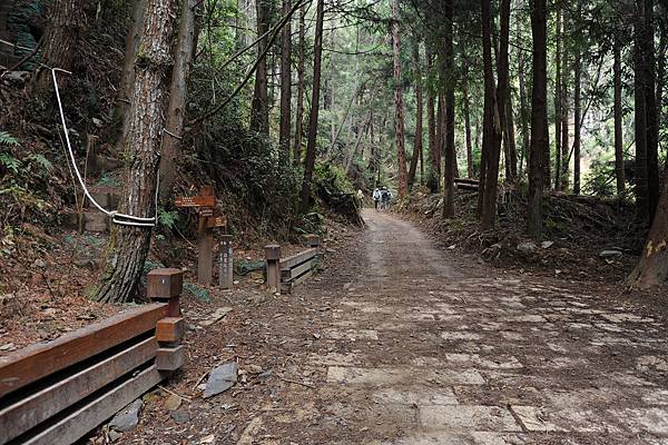 DSC_023.jpg DSC_023.jpg