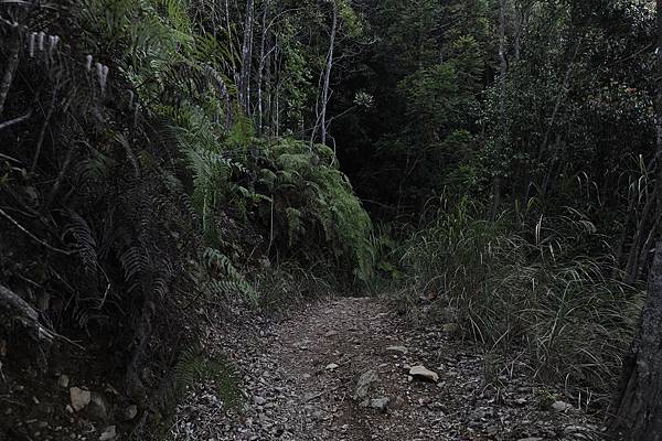 DSC_039.jpg DSC_039.jpg