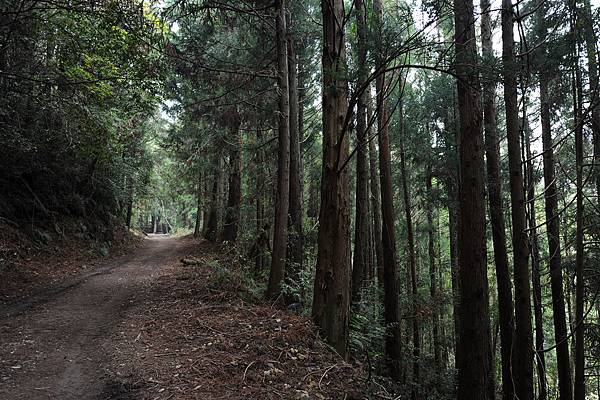 DSC_018.jpg DSC_018.jpg