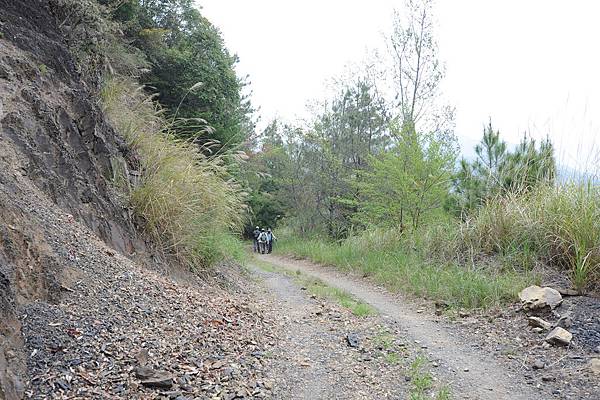 DSC_025.jpg DSC_025.jpg