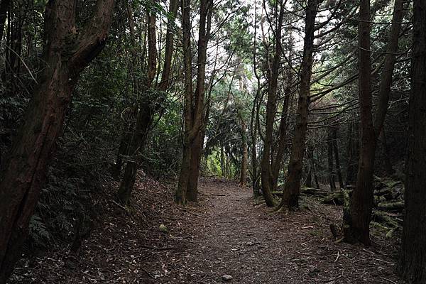 DSC_041.jpg DSC_041.jpg