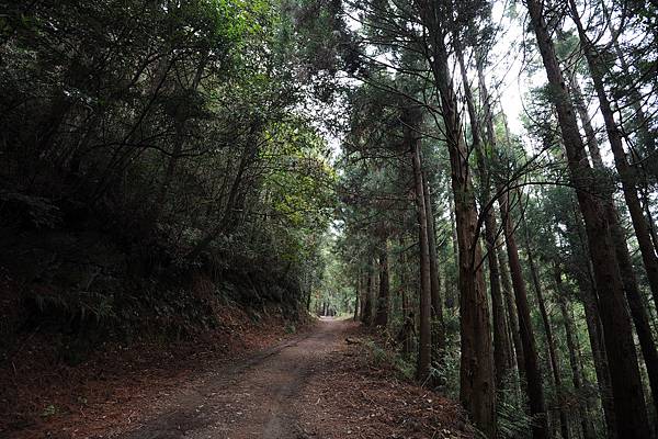 DSC_020.jpg DSC_020.jpg